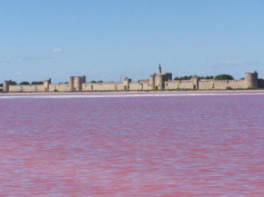  Aigues-Mortes villa prés des remparts  Эге-Морте